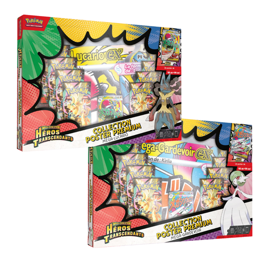 Héros Transcendants - Collection poster Premium